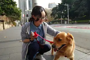 赵丽颖女汉子亲密抱爱犬呆萌表情神同步
