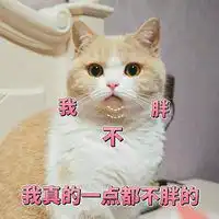 抖音蜜桃猫咪表情包微信头像图片大全
