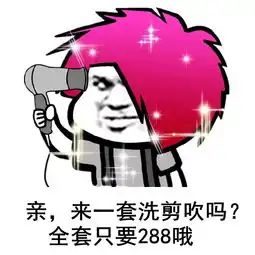 吹头发表情包4
