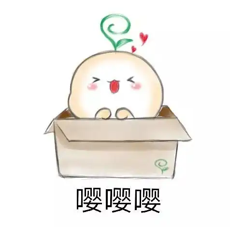 你们的豆小芽正式上线啦
