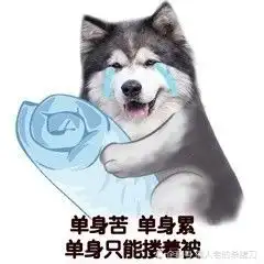 适当的情话能让你科学步入渣男行列,摆脱直男称号
