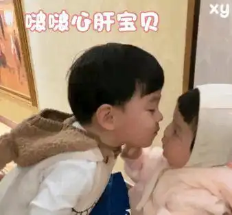 表情包拽拽的,怼人必备
