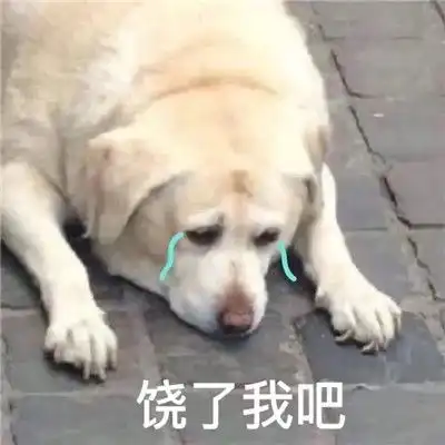 一条戏精狗狗的表情包合集狗狗沙雕表情包图片搞笑
