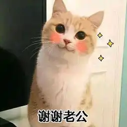 谢谢老公表情包谢谢老公么么哒
