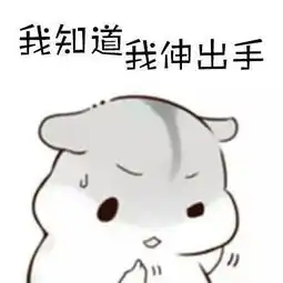 请问有谁知道这只老鼠叫什么名字啊
