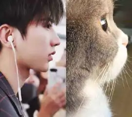 蔡徐坤猫颜是什么梗蔡徐坤猫颜表情包无水印大全
