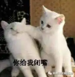 身患直男癌的逻辑真的很缜密,但是为什么我想举起手中的刀
