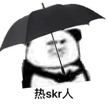 看完skr的正确使用方法,不得不服
