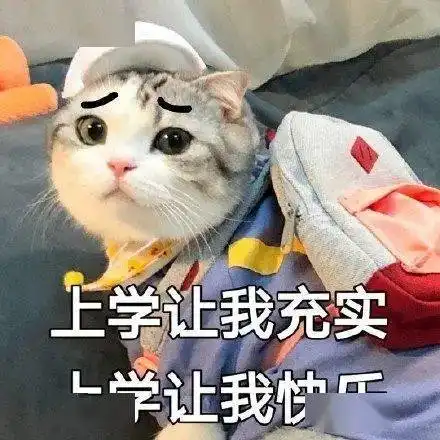 开学的你,还在等什么
