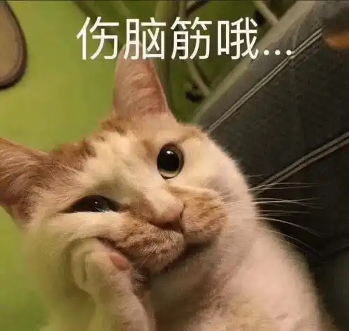 副高发力,高温浪潮来袭
