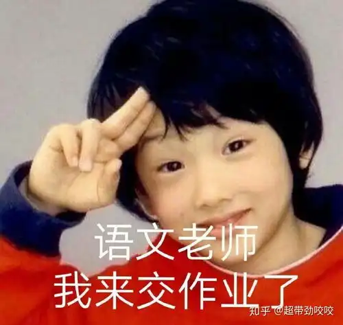 有没有什么关于交作业的表情包
