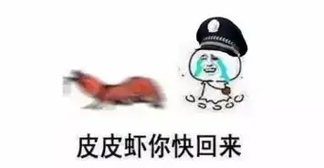 当警察遇上皮皮虾表情包
