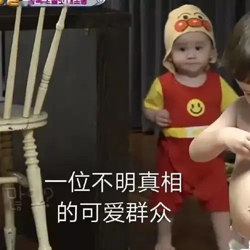 沙雕表情包丨我不是笨蛋
