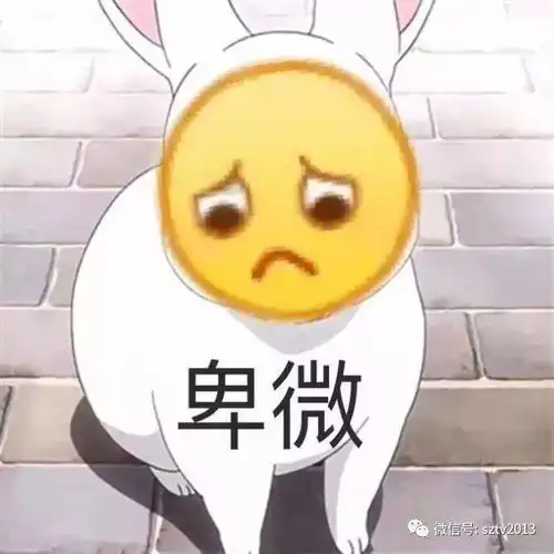宿城的老铁们你买的蔬菜多少钱一斤
