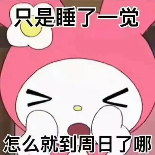 美乐蒂表情包
