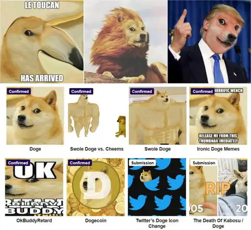 柴犬kabosu去世那些发狗头表情的人,他们在说什么