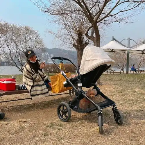 崔智友晒一家三口出游照,小九岁神秘丈夫充当摄影师为妻女拍照
