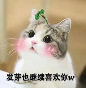 我似乎喜欢上了关系超级好的朋友
