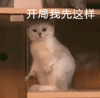可爱的表情包我想做你的小宝贝
