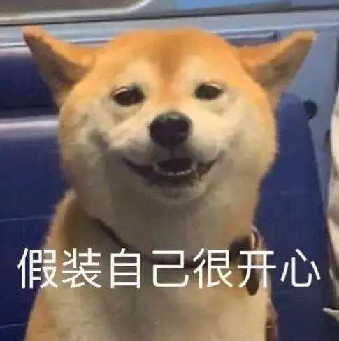汪表情第34期丨粉丝投稿的表情包比狗哥还多
