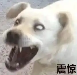 当演技类综艺变成台上撕逼,我们还能看什么
