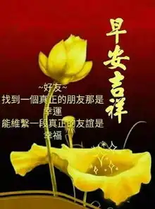 早晨问安清晨如此清新美丽,心情永远快乐无敌,早晨好
