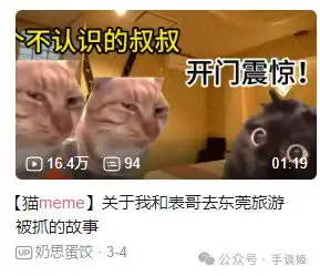 来中国工作的日本单亲妈妈,靠猫猫meme获得20万关注
