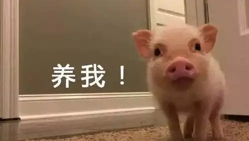 万科招聘猪场总经理网友以后吃猪肉也要贷款了首付几成
