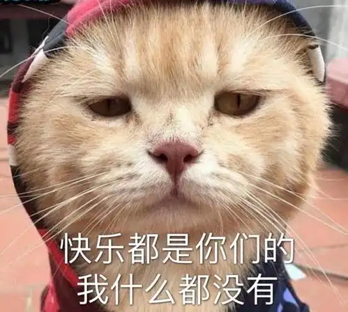 沙雕表情包l为师送你
