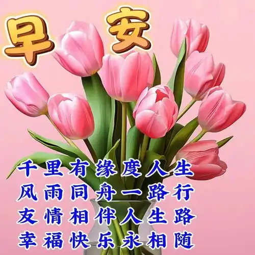 9月14日最新早上好漂亮问候图片
