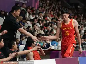 定心丸姚明指导周琦鼓励小丁又献表情包
