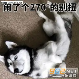 我就这样掐着你的脖子表情包不用抢救了让我去吧表情包下载乐游网游戏下载
