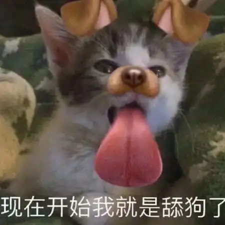 一组适合撒娇用的表情包你不要以为一杯奶我就没事了
