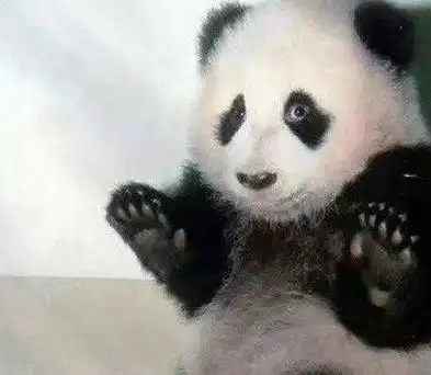 开心一刻笑话早上去面试应聘,为了面试成功,故意去吃了一碗面

