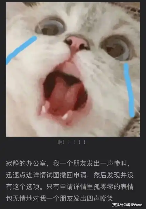 手贱用沙雕表情包提交了法律诉讼哈哈哈这是什么社死现场

