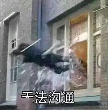 黄圣依被曝炫富翻车阔太太都是假象
