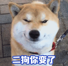 萌宠有趣狗狗表情包你是不是近视了,否则为什么看不到我喜欢你
