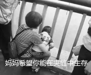 2017年度表情包大赏小猪佩奇,笑着活下去,边缘试探.你最爱哪一个
