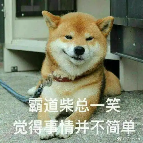 有哪些超级可爱的柴犬的表情包
