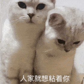别敬屎不吃吃罚屎丨第312期喵表情包

