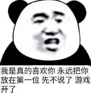 日常搞笑熊猫头表情包
