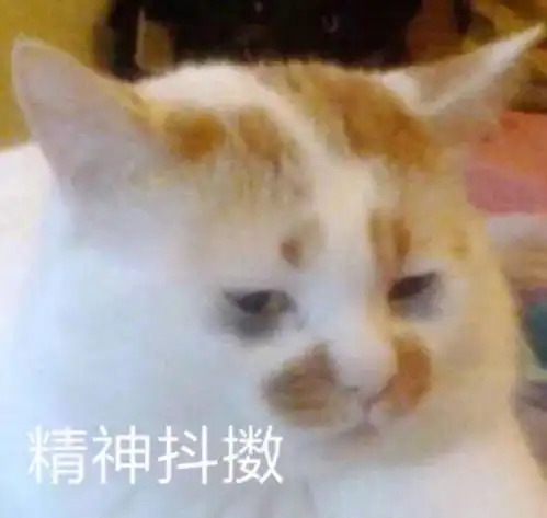 表情包沙雕表情包第三百九十二期
