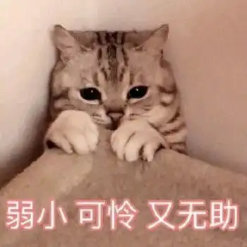 一天到晚养蛙养蛙你的主子已经有情绪了
