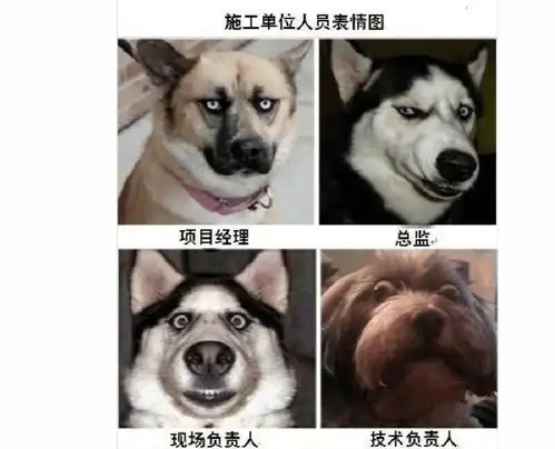 工程人的职业病,看看你中了几条
