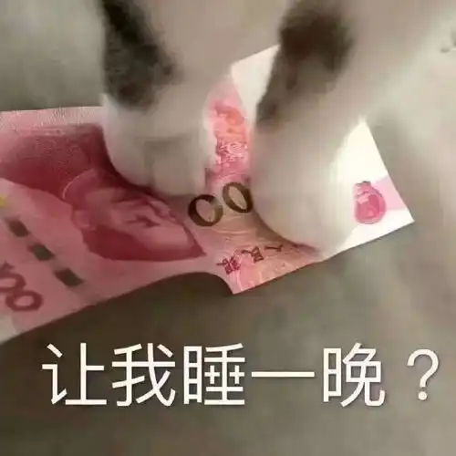表情包

