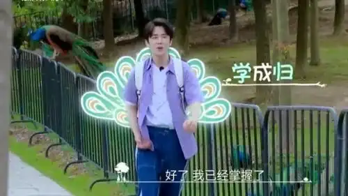 模仿孔雀口音哪家强陈哲远学孔雀叫表情超夸张,一开嗓全场安静