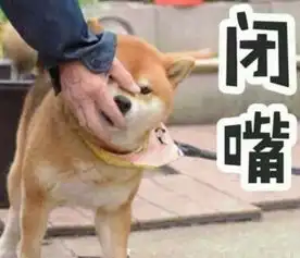 化妆品都包包表情包化妆