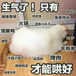 最近耍无赖表情包火了,男朋友不听话,表情包治的他喊服
