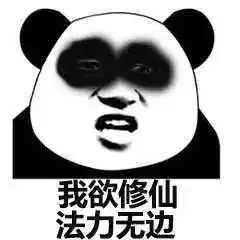大茅山丨来呀,修仙呀,反正有大把仙气
