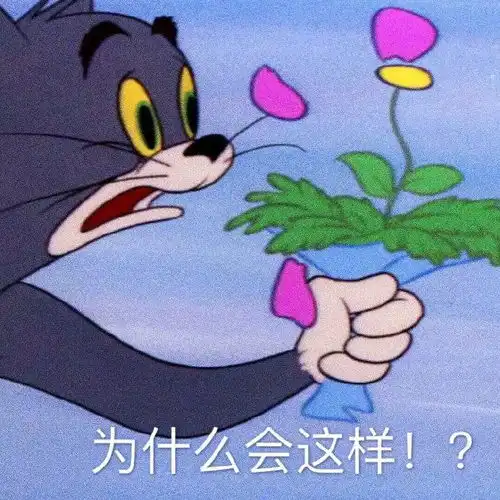 发什么朋友圈文案能成功吸引其他沙雕网友
